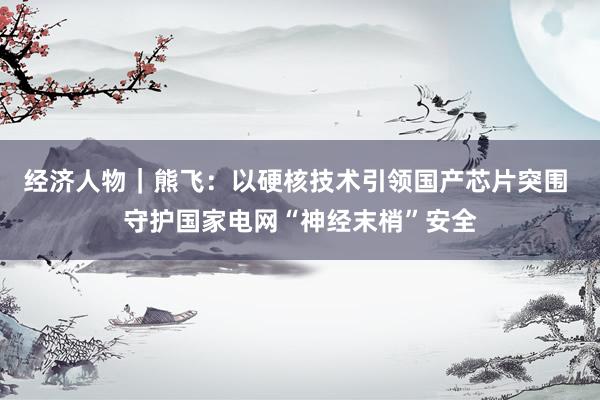 经济人物｜熊飞：以硬核技术引领国产芯片突围 守护国家电网“神经末梢”安全