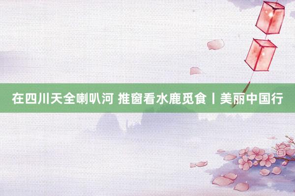 在四川天全喇叭河 推窗看水鹿觅食丨美丽中国行