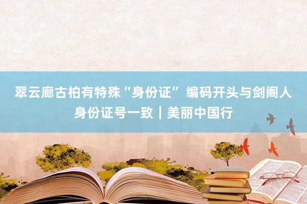 翠云廊古柏有特殊“身份证” 编码开头与剑阁人身份证号一致｜美丽中国行