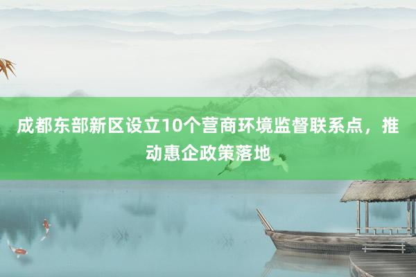 成都东部新区设立10个营商环境监督联系点，推动惠企政策落地