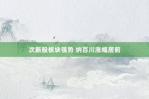 次新股板块强势 纳百川涨幅居前