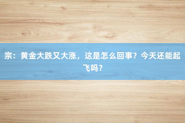 宗：黄金大跌又大涨，这是怎么回事？今天还能起飞吗？
