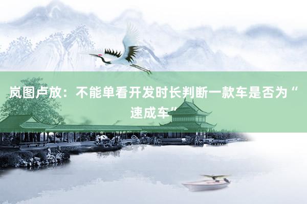 岚图卢放：不能单看开发时长判断一款车是否为“速成车”