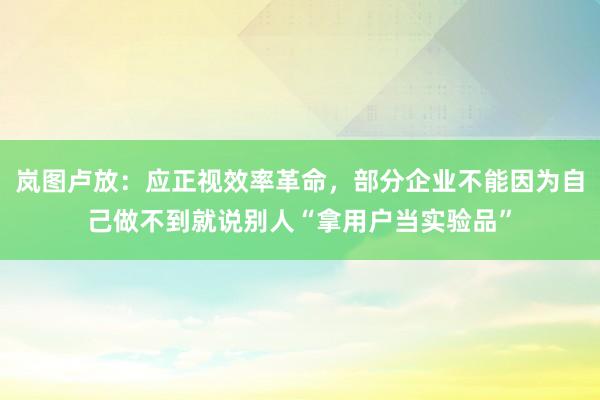 岚图卢放：应正视效率革命，部分企业不能因为自己做不到就说别人“拿用户当实验品”