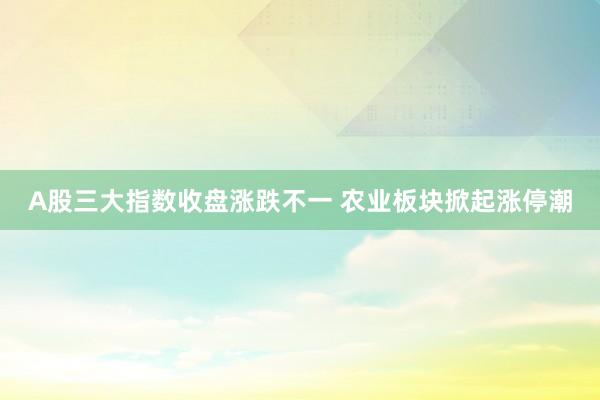 A股三大指数收盘涨跌不一 农业板块掀起涨停潮