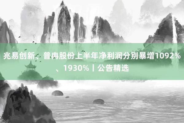兆易创新、普冉股份上半年净利润分别暴增1092%、1930%丨公告精选