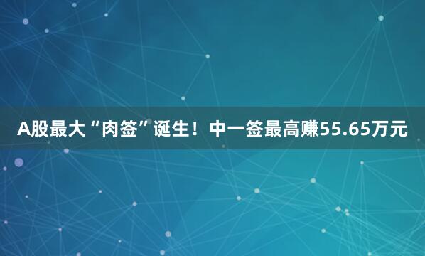 A股最大“肉签”诞生！中一签最高赚55.65万元