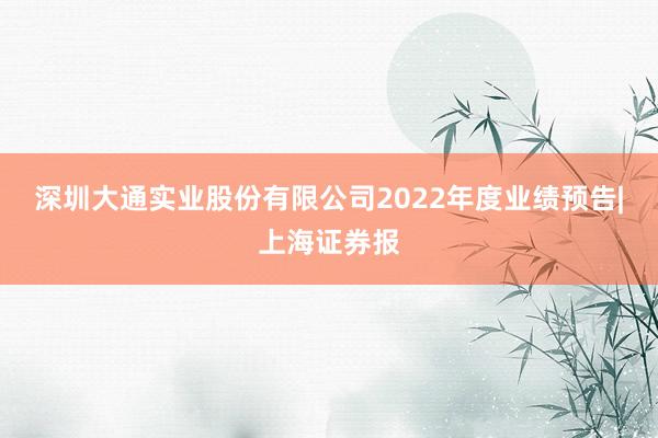 深圳大通实业股份有限公司2022年度业绩预告|上海证券报