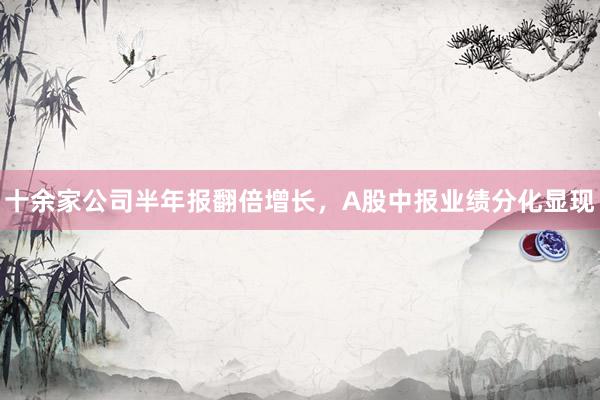 十余家公司半年报翻倍增长,A股中报业绩分化显现