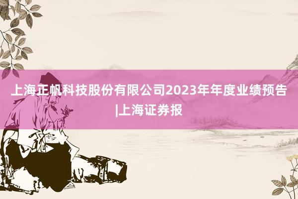 上海正帆科技股份有限公司2023年年度业绩预告|上海证券报