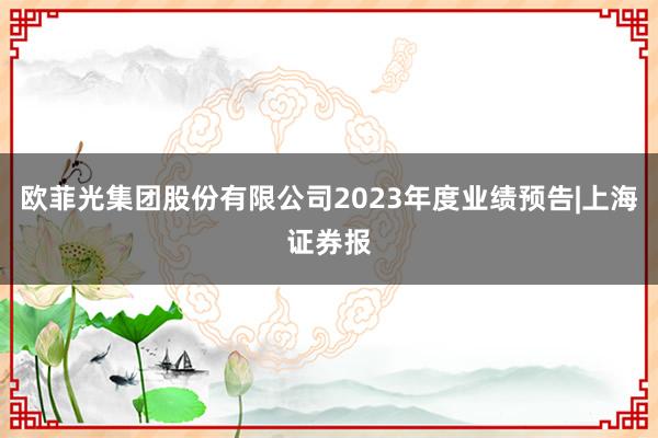 欧菲光集团股份有限公司2023年度业绩预告|上海证券报