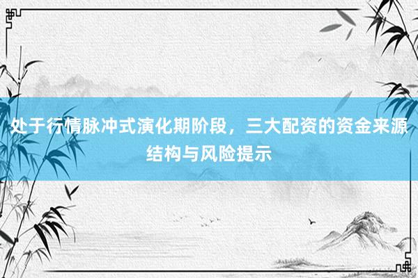 处于行情脉冲式演化期阶段，三大配资的资金来源结构与风险提示