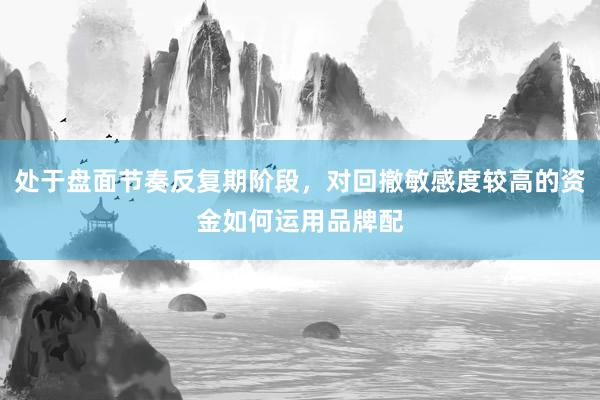 处于盘面节奏反复期阶段，对回撤敏感度较高的资金如何运用品牌配