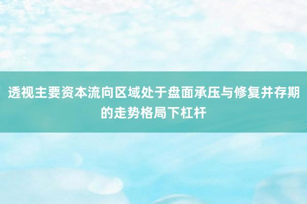透视主要资本流向区域处于盘面承压与修复并存期的走势格局下杠杆