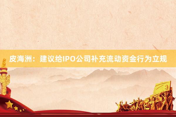 皮海洲：建议给IPO公司补充流动资金行为立规