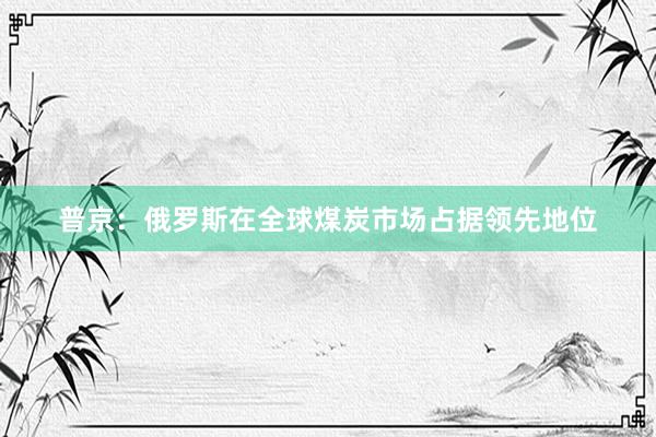 普京：俄罗斯在全球煤炭市场占据领先地位