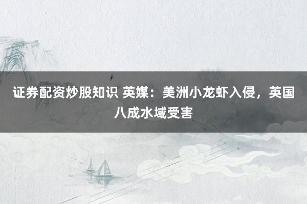 证券配资炒股知识 英媒：美洲小龙虾入侵，英国八成水域受害
