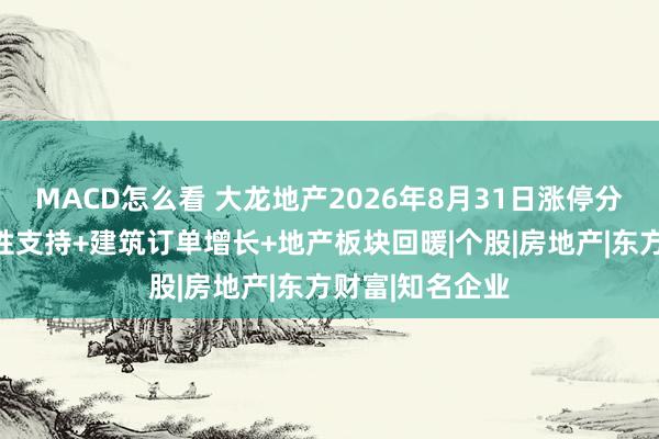 MACD怎么看 大龙地产2026年8月31日涨停分析：地产流动性支持+建筑订单增长+地产板块回暖|个股|房地产|东方财富|知名企业