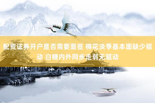 配资证券开户是否需要面签 棉花淡季基本面缺少驱动 白糖内外同步走弱无驱动
