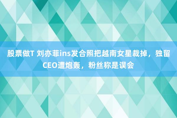 股票做T 刘亦菲ins发合照把越南女星裁掉，独留CEO遭炮轰，粉丝称是误会