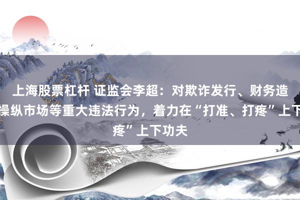 上海股票杠杆 证监会李超：对欺诈发行、财务造假、操纵市场等重大违法行为，着力在“打准、打疼”上下功夫