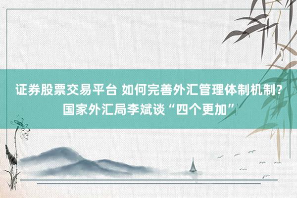 证券股票交易平台 如何完善外汇管理体制机制？国家外汇局李斌谈“四个更加”