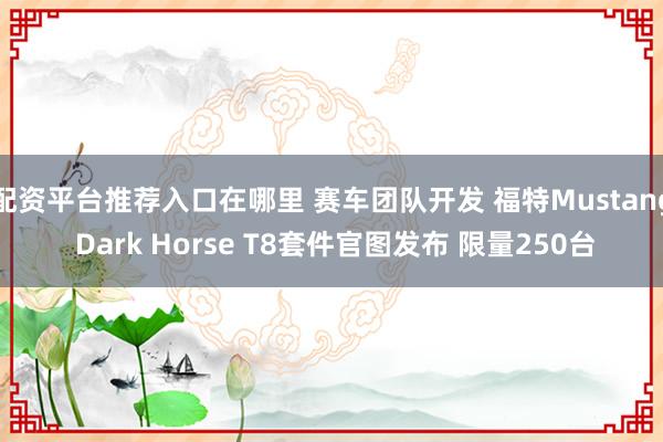 配资平台推荐入口在哪里 赛车团队开发 福特Mustang Dark Horse T8套件官图发布 限量250台
