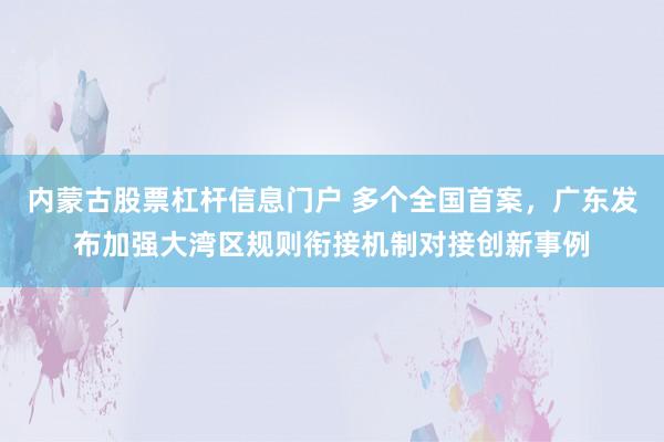 内蒙古股票杠杆信息门户 多个全国首案，广东发布加强大湾区规则衔接机制对接创新事例