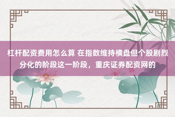杠杆配资费用怎么算 在指数维持横盘但个股剧烈分化的阶段这一阶段，重庆证券配资网的