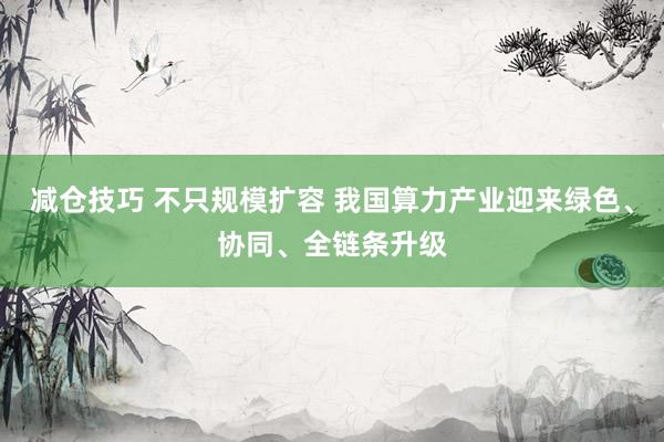 减仓技巧 不只规模扩容 我国算力产业迎来绿色、协同、全链条升级