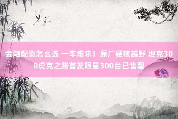 金融配资怎么选 一车难求！原厂硬核越野 坦克300虎克之路首发限量300台已售罄