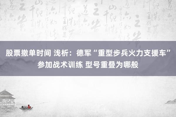股票撤单时间 浅析:德军“重型步兵火力支援车”参加战术训练 型号重叠为哪般