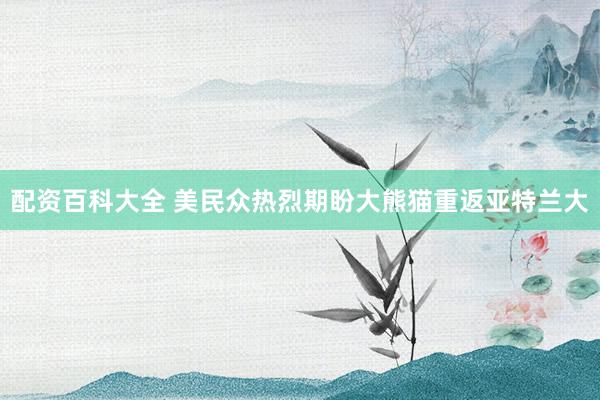 配资百科大全 美民众热烈期盼大熊猫重返亚特兰大