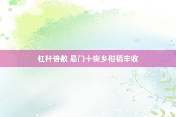 杠杆倍数 易门十街乡柑橘丰收