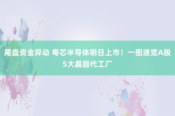 尾盘资金异动 粤芯半导体明日上市！一图速览A股5大晶圆代工厂