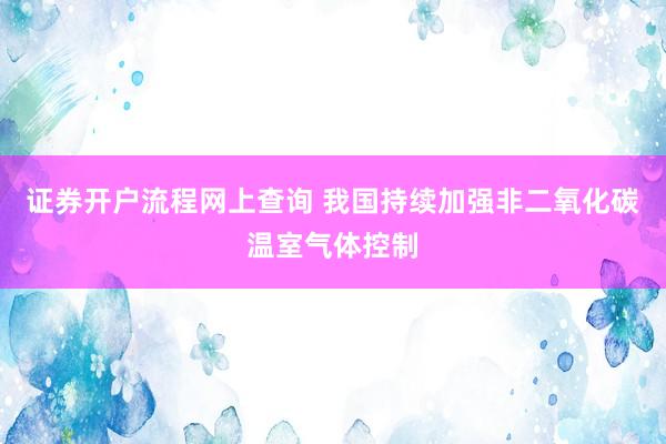 证券开户流程网上查询 我国持续加强非二氧化碳温室气体控制