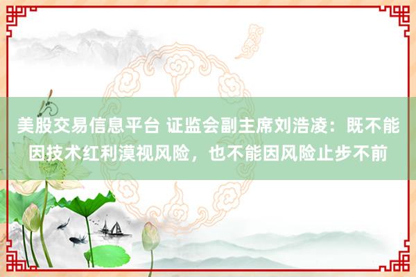 美股交易信息平台 证监会副主席刘浩凌：既不能因技术红利漠视风险，也不能因风险止步不前