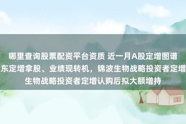 哪里查询股票配资平台资质 近一月A股定增图谱：两家公司控股股东定增拿股、业绩现转机，锦波生物战略投资者定增认购后拟大额增持