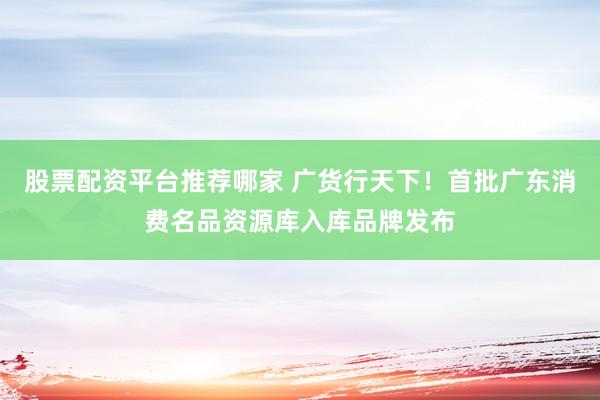 股票配资平台推荐哪家 广货行天下！首批广东消费名品资源库入库品牌发布