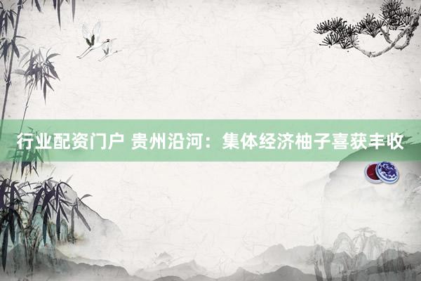 行业配资门户 贵州沿河：集体经济柚子喜获丰收